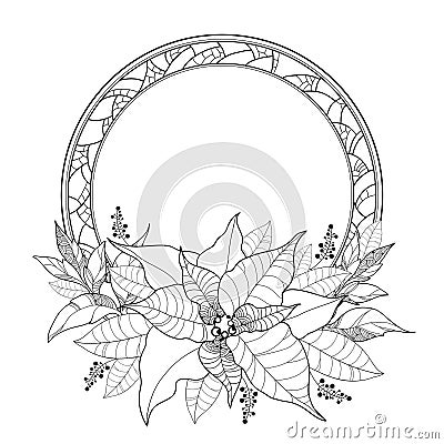 Vector Poinsettia or Christmas Star, leaves and ornate round frame isolated on white. Outline Poinsettia flower for winter Vector Illustration