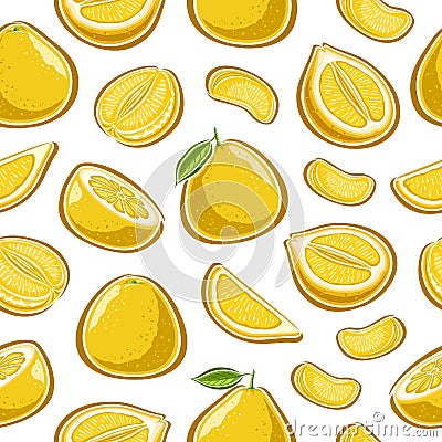 Vector Pomelo seamless pattern Vector Illustration