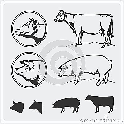 Vector pork and beef meat labels and design elements. Butcher`s business logos. Silhouettes of pig and cow. Vector Illustration