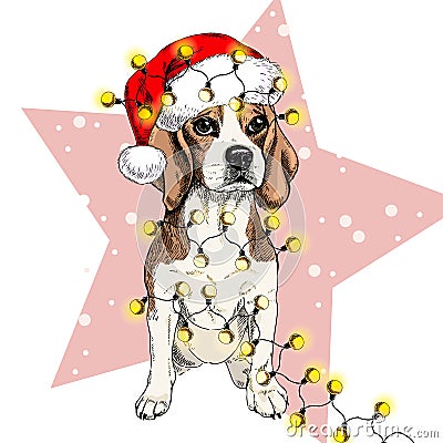 Vector portrait of beagle dog wearing santa hat Christmas lights garland. Isolated on star and snow. Skecthed color Vector Illustration