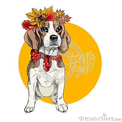 Vector portrait of Beagle girl dog wearing autumn leaves crown. Hello fall illustration. Oak, maple, chestnut, rowen Vector Illustration