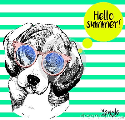Vector portrait of beagle, with sunglassess. Hello summer. Hand drawn dog illustration. on mint green strips. Vector Illustration