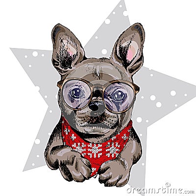 Vector portrait of French bulldog dog wearing winter bandana and glasses. Isolated on star and snow. Skecthed color Vector Illustration