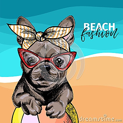 Vector portrait of French bulldog dog weas sunglasses and retro bandana. Summer fashion illustration. Sea, beach, ocean Vector Illustration