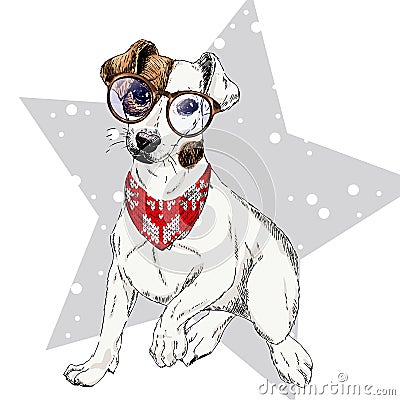 Vector portrait of Jack russel terrier dog wearing winter bandana and glasses. Isolated on star snow. Skecthed color Vector Illustration