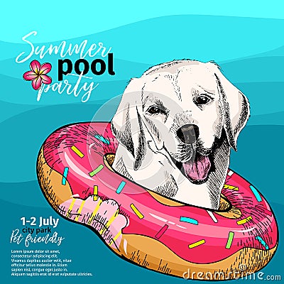 Vector portrait of Labrador retriever dog swims in water. Donut float. Summer pool paty illustration. Sea, ocean, beach Vector Illustration