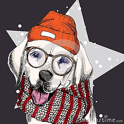 Vector portrait of labrador retriever dog wearing beanie, glasses and scarf. on star, snow. Skecthed color Vector Illustration