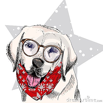 Vector portrait of Labrador retriever dog wearing winter bandana and glasses. Isolated on star, snow. Skecthed color Vector Illustration