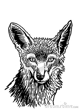 Vector portrait of sly fox on white isolated,graphical drawing Vector Illustration