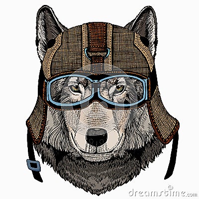 Vector portrait of wolf. Cool wild wolf. Animal head. Vector Illustration