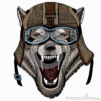 Vector portrait of wolf. Cool wild wolf. Animal head. Vector Illustration