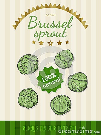 Vector poster with a Brussels sprouts in a sketch style Vector Illustration