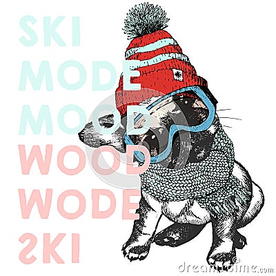 Vector poster with close up portrait of beagle dog.Ski mode mood. Puppy wearing beanie, scarf and snow goggles. Vector Illustration