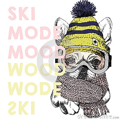 Vector poster with close up portrait of beagle dog.Ski mode mood. Puppy wearing beanie, scarf and snow goggles. Vector Illustration