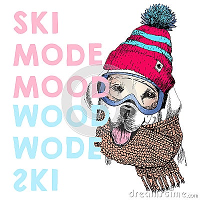 Vector poster with close up portrait of labrador retriever dog. Ski mode mood. Puppy beanie, scarf and snow goggles. Vector Illustration