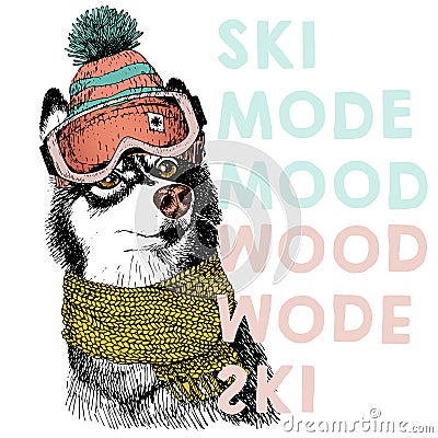 Vector poster with close up portrait of siberian husky dog. Ski mode mood. Vector Illustration