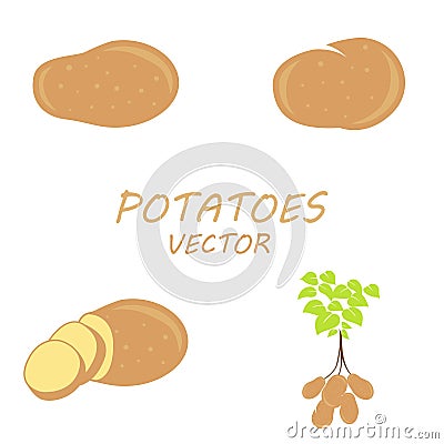 Vector Potatoes icons set Stock Photo