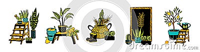 Vector potted plants collection. Hand drawn house plants and home decor elements. Vector Illustration