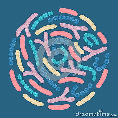 Vector probiotics in circular shape. Bifidobacterium, lactobacillus, streptococcus thermophilus, lactococcus Vector Illustration