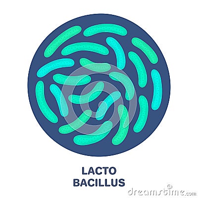 Vector probiotics in circular shape. Lactobacillus. Microbiome. Medicine or dietary supplement Vector Illustration