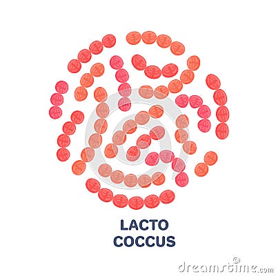 Vector probiotics in circular shape. Lactococcus. Microbiome. Medicine or dietary supplement Vector Illustration