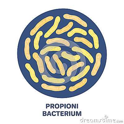 Vector probiotics in circular shape. Propionibacterium. Microbiome. Medicine or dietary supplement Vector Illustration