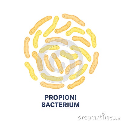 Vector probiotics in circular shape. Propionibacterium. Microbiome. Medicine or dietary supplement Vector Illustration