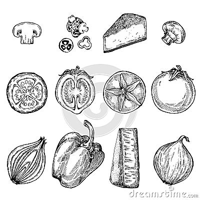 Vector products set of hand drawn vector sketches. Stock Photo