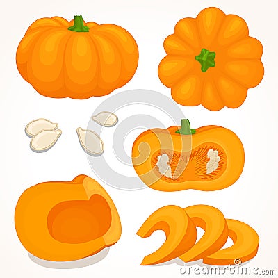 Vector pumpkin. Sliced, whole, half pumpkin. Vector Illustration