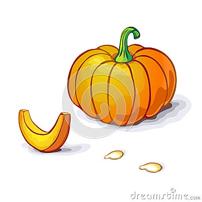 vector pumpkin or squash illustration with slice and seeds isolated on white backdrop. pumpkin icon. realistic Orange pumpkin with Cartoon Illustration