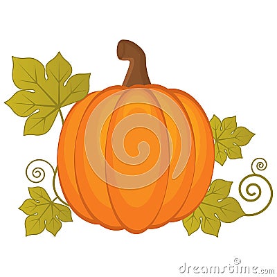 Vector Pumpkin. Vector Halloween and Thanksgiving Day. Pumpkin Vector Illustration. Vector Illustration