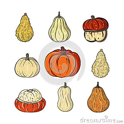 Vector pumpkins set. Colorful pumpkins isolated on white background Vector Illustration