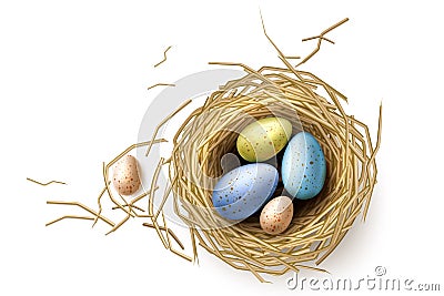 Vector quail, chicken eggs in nest easter holiday Vector Illustration