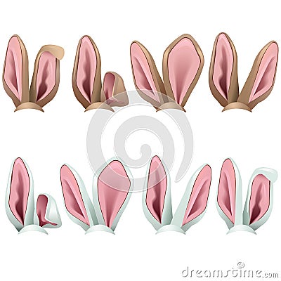 Vector Rabbit Ears Icons Vector Illustration