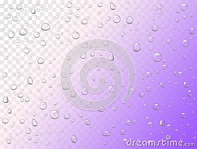 Vector rain water drops on transparent background. Pure droplets condensed. Realistic pattern on window glass surface Vector Illustration