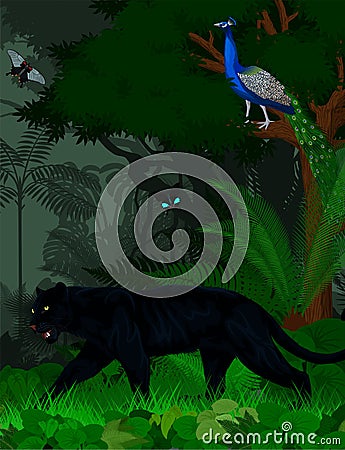 Vector rainforest jungle in India with panther, male peacock peafowl and butterflies Vector Illustration