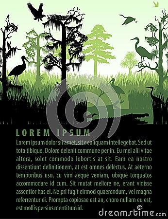 Vector rainforest wetland silhouettes sunset design template Vector Illustration