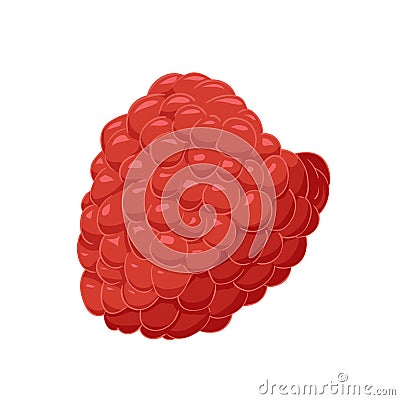 Vector raspberry. Red element berrie for design Vector Illustration