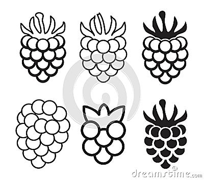 Vector raspberry silhouette and outline Vector Illustration