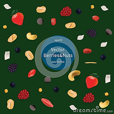 Vector realism style set healthy food. Nuts and berries Vector Illustration
