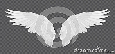 Vector realistic angel wings isolated on transparent background Vector Illustration