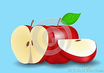 Vector realistic apple isolated Vector Illustration