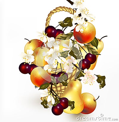 Beautiful design with realistic vector fruits in basket with br Stock Photo