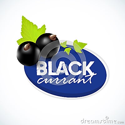 Vector realistic black currant with sheets. Black currant label. Black currant on white background. Stock Photo