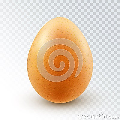 Vector Realistic Brown Chicken egg Vector Illustration
