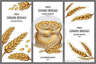 Vector realistic sack with grains, wheat ears Vector Illustration