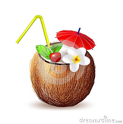 Vector realistic coconut exotic fruit 3d Vector Illustration