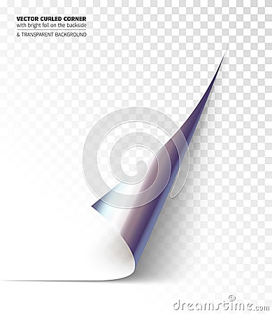 Vector realistic curled corner Vector Illustration