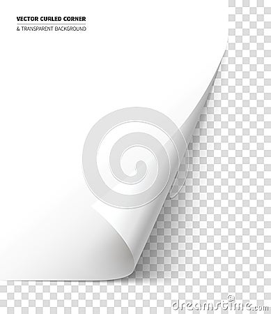 Vector realistic curled corner Vector Illustration