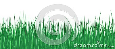 Vector realistic detailed illustration grass seamless pattern isolated Vector Illustration